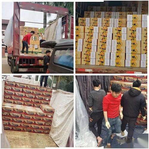 同舟共冀，共同戰(zhàn)“疫”——河北博泉集團(tuán)捐贈(zèng)32噸澄邁農(nóng)產(chǎn)品支援抗疫一線(xiàn)